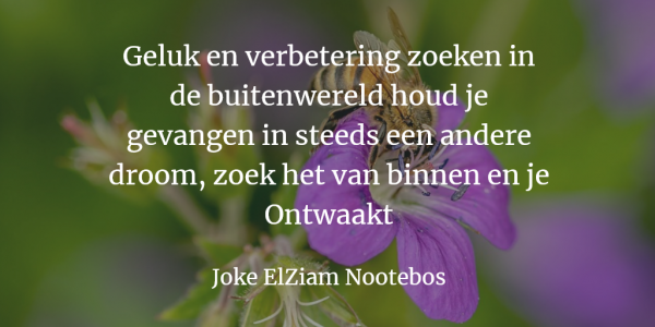 Geluk en verbetering zoeken in de buitenwereld houd je gevangen in steeds een andere droom, zoek het van binnen en je Ontwaakt.png